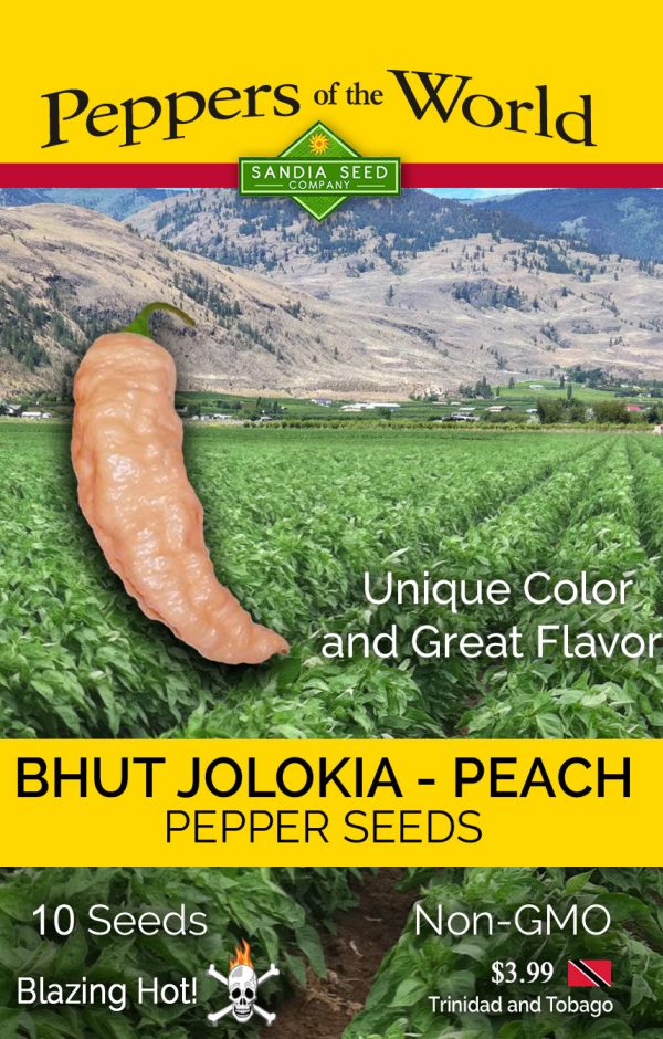 Bhut Jolokia Peach Seeds Supply - Image 3